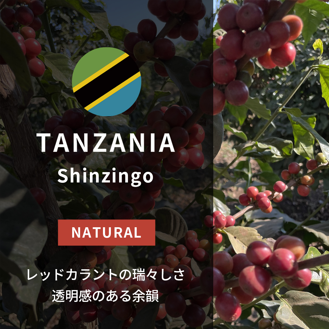 財宝 (ポイント2倍) 缶コーヒー ボトル缶 コーヒー ブラック 無